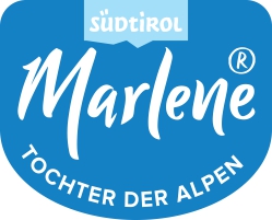 Sponsor